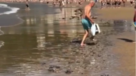Jeziva najezda na plažama Evrope! Povređeno više od 2.000 ljudi! (VIDEO)