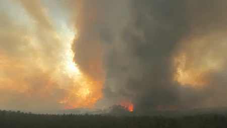 Jeziv snimak iz Deliblatske peščare: Vatra napravila tornado pred očima ljudi (VIDEO)