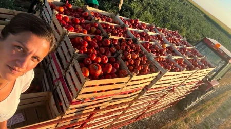 Ona je vojvođanska kraljica paradajza: Sandra godišnje napravi preko 10.000 litara soka, u posao uključena cela porodica 