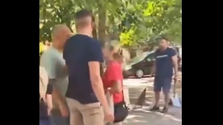 Ludilo ne prestaje! Dok su aktivisti SNS-a uređivali park, blokaderka pokušala da ih maltretira