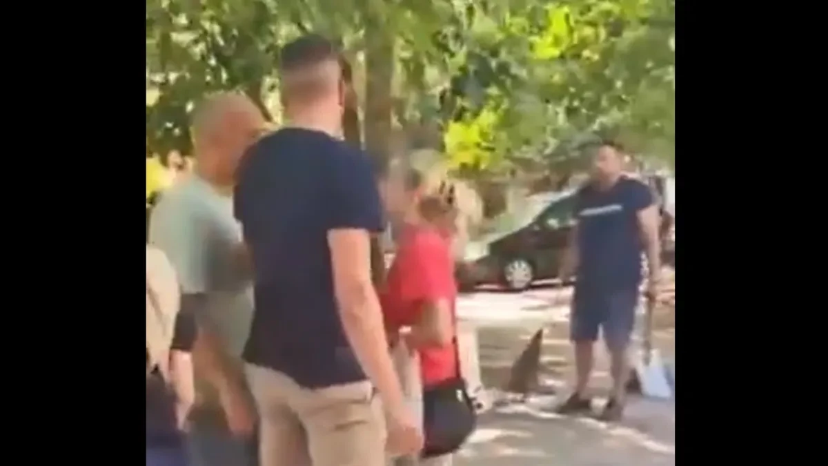 Ludilo ne prestaje! Dok su aktivisti SNS-a uređivali park, blokaderka pokušala da ih maltretira
