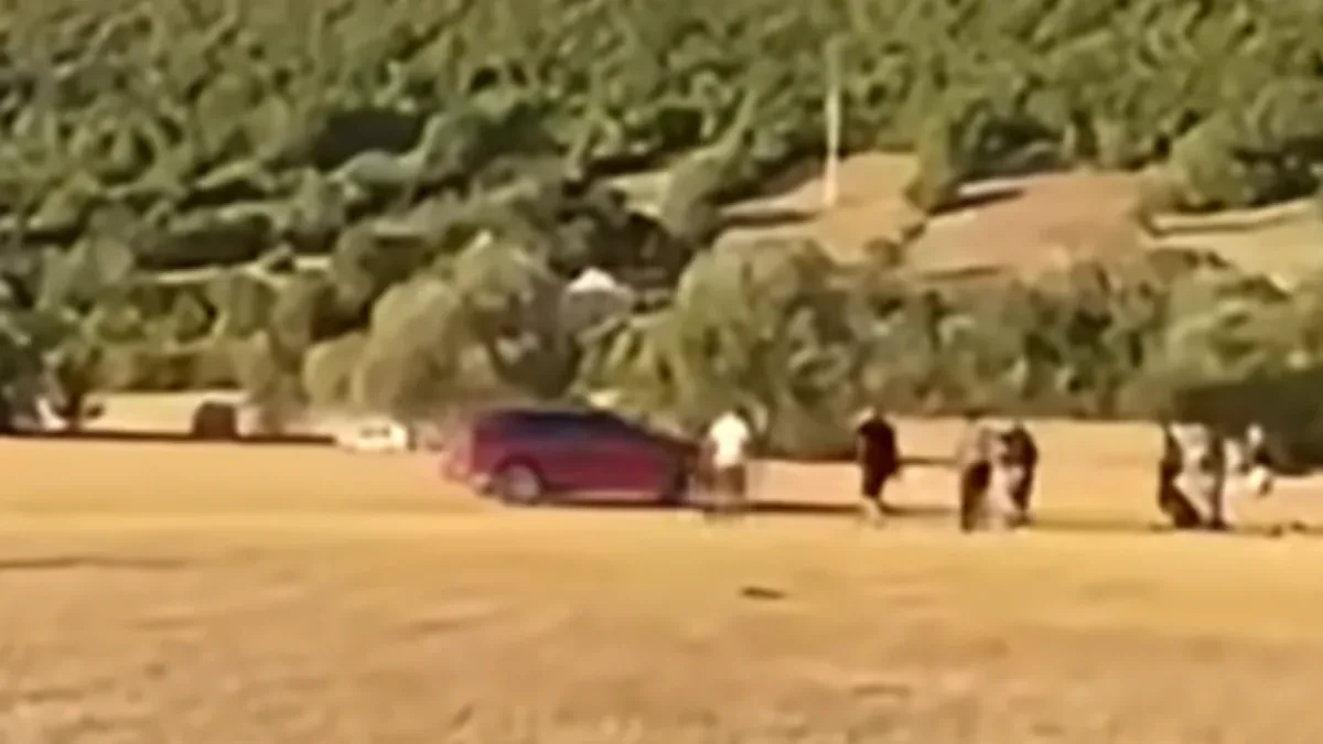 Autom pregazio trojicu, pa otišao pod šator da đuska! Policija tereti muškarca za teško ubistvo u pokušaju nakon konjičkih trka