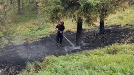 Požari kod Kraljeva pod kontrolom: Vatrogasci i meštani danonoćno na terenu