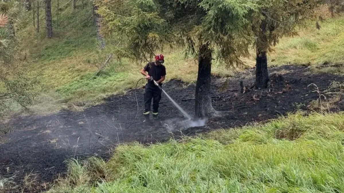 Požari kod Kraljeva pod kontrolom: Vatrogasci i meštani danonoćno na terenu