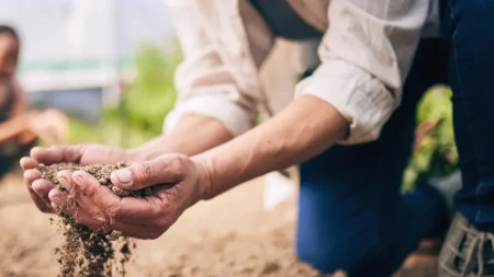 Nemačka plaća ceh vrelog leta - toplotni talas napravio štetu od najmanje 36 milijardi evra