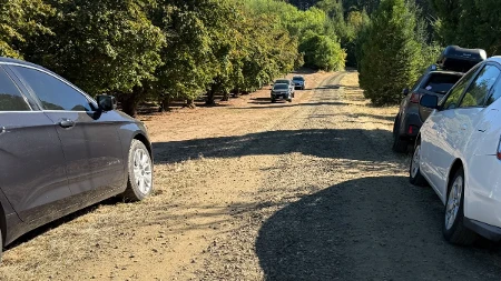 Ubijena cela porodica sa decom! Jezivo krvoproliće u Montani, otvorio vatru a onda je sve počeo da gori!