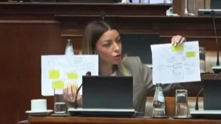 Mesarović podsetila blokadere: Šta ćemo sa neplaćenim kreditima DS-a koji su išli na štetu građana Srbije?!