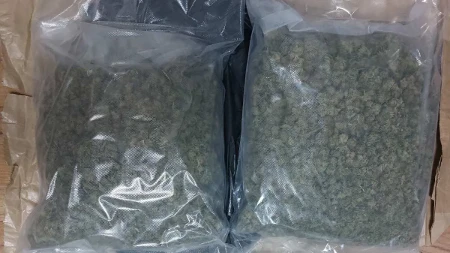 Pao diler sa više od 2,2 kilograma marihuane! Drogu krio po stanu na Voždovcu
