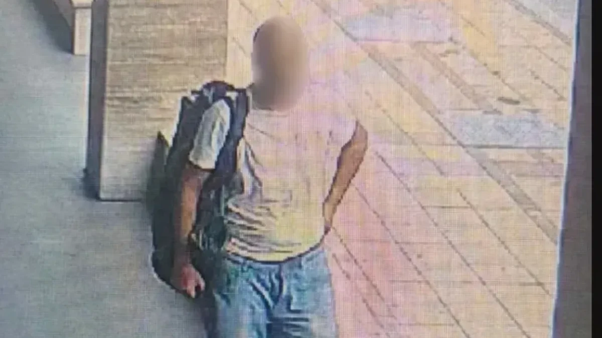 Silovatelj sa Banovog brda ima krcat dosije! Svi ga se plašili, nedavno izašao iz pritvora, otkriveni novi detalji slučaja