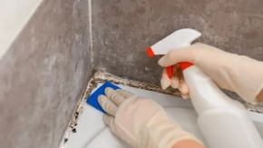 Zaboravite na skupe preparate: Buđ u kupatilu se efikasno uklanja uz pomoć ovih prirodnih sastojaka