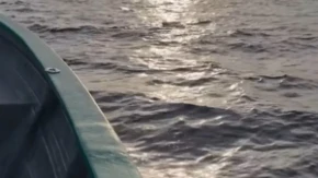 Drama na otvorenom moru: Ribari su ugledali iscrpljenog psa u vodi, 2 kilometra od obale - trljali su oči u neverici