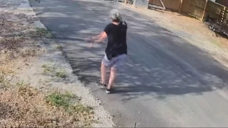 Više od 300 puta su je ubole: Žena bežala od roja pčela ubica i vrištala, a onda je policajac zgrabio crevo