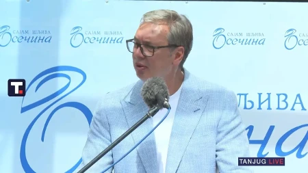 "Žele Srbiju na kolenima, ali to neće dočekati" Vučić: Kretena i emocionalnih bolesnika ima uvek i svuda