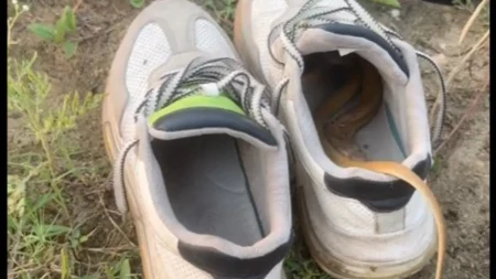 Obuo bi patiku da nije pogledao unutra: Prizor koji je zaledio krv, iz patike je virio rep zmije (VIDEO)