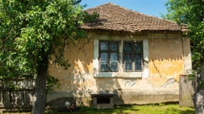 Naši preci su u dvorišta obavezno sadili ova drveća: Šta je svaka kuća morala da ima, privlače zdravlje i napredak