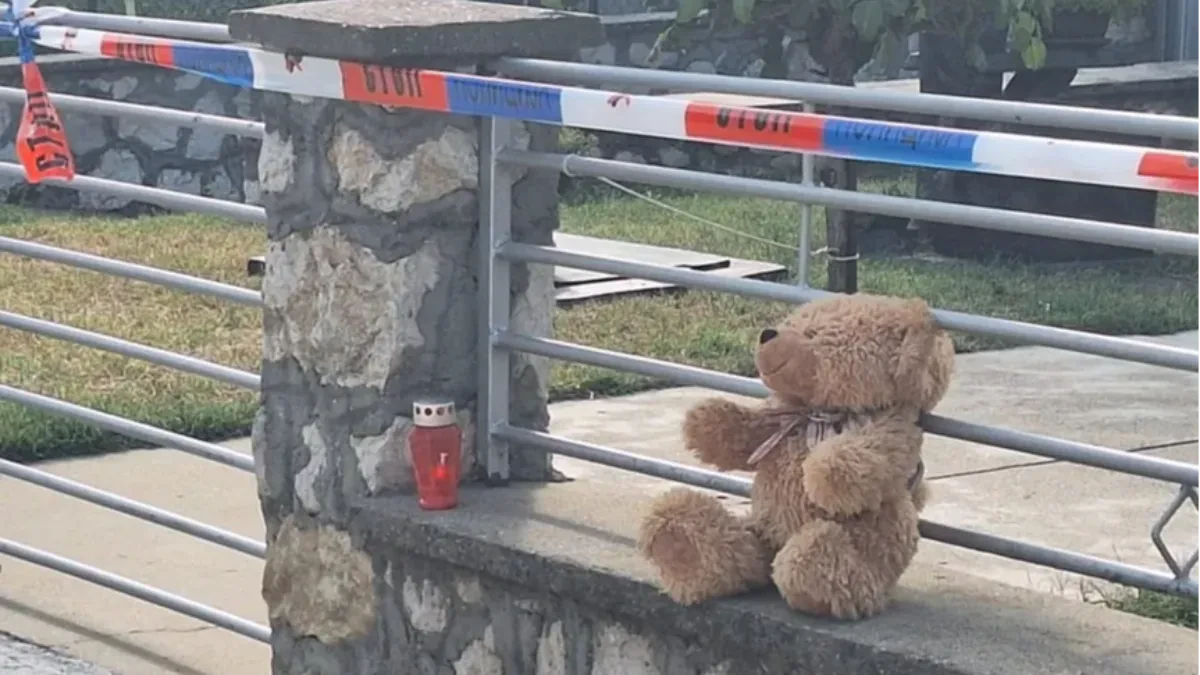 "Čuo sam dva pucnja, ležala je u lokvi krvi": Prvi komšija otkrio stravične detalje o ubistvu u Velikom Gradištu