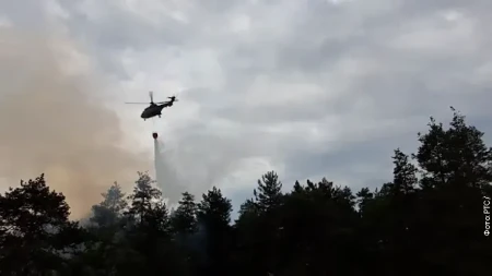 Sva naselja su spasena: Deliblatska peščara šest dana bez novih žarišta!