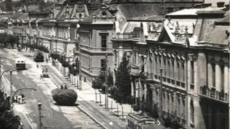 Novi Beograd je bio livada, a u Malom Mokrom Lugu bio je budistički hram: Ovako je Beograd izgledao pre 100 godina