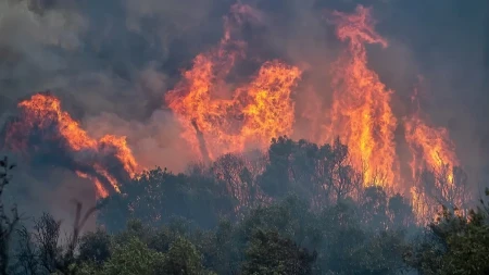 Bilans požara u Evropi - skoro pola miliona hektara zemljišta, šteta preko tri milijarde evra 