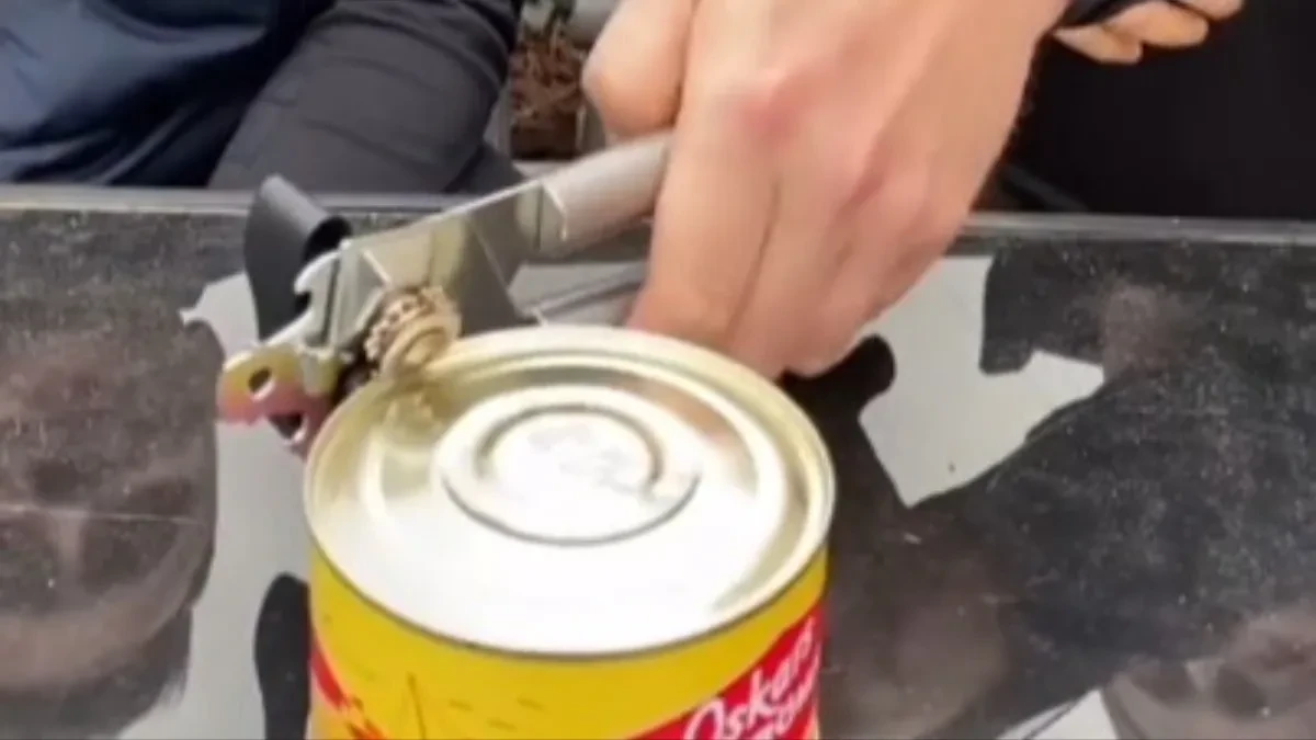 Najsmrdljivije jelo na svetu je zaludelo Tiktok: Reakcije ljudi nakon otvaranja konzerve postale su viralni hit!
