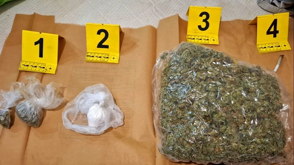 Pao diler kod Pančeva: U kući pronađeno više od 800 grama marihuane i vagica