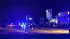 Nisu uginule krave niti su lutale autoputem! Otkrivena istina o nesreći u kojoj je učestvovalo pet vozila