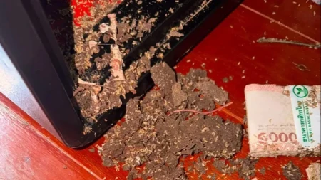 Otvorila sef sa 26 hiljada evra i zanemela: Ono što je zatekla unutra pretvorilo je životnu ušteđevinu u prah!