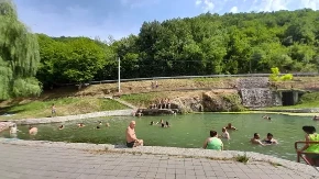Knjaževac: Lekovita voda iz Rgoške banje leči reumu i bolesti kostiju