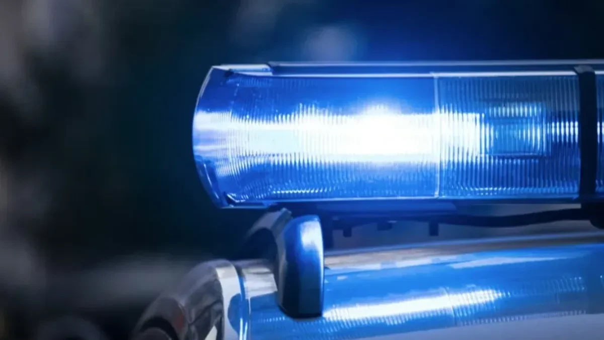 Poginuo vozač (60): Izgubio kontrolu nad automobilom pa sleteo sa kolovoza