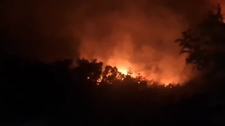 Drama kod Trebinja! Odbijena vatra koja je zapretila kućama, vetar i dalje raspiruje požar