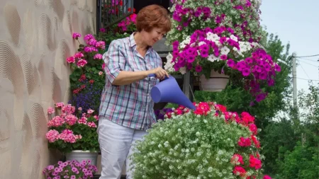 Sadi se sada da bi cvetalo cele godine: 4 vrste cveća koje izdrže i ono najgore, ukrašavaju terase i dvorište svih 365 dana