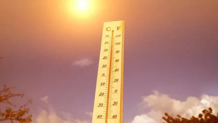 Vrućine i ova hrana nisu dobra kombinacija - mogu izazvati nadutost i nelagodu