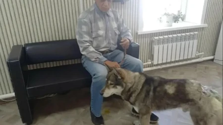 Razjareni medved kidisao na čoveka: Pas je bez razmišljanja skočio, i uradio nešto neverovatno!