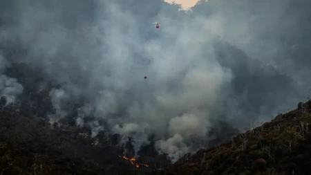 Gori 200 hektara na Žaračkim planinama: Vetar otežava gašenje, sprečeno najgore u Ušću!
