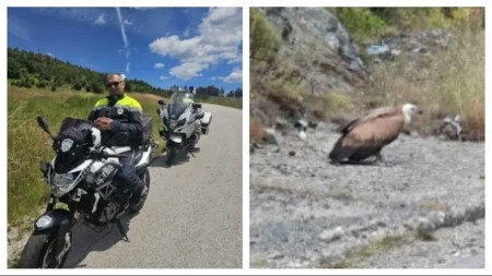 Policajac zaustavio motocikl zbog prizora pored puta: Kada je nju video, nije mogao samo da prođe