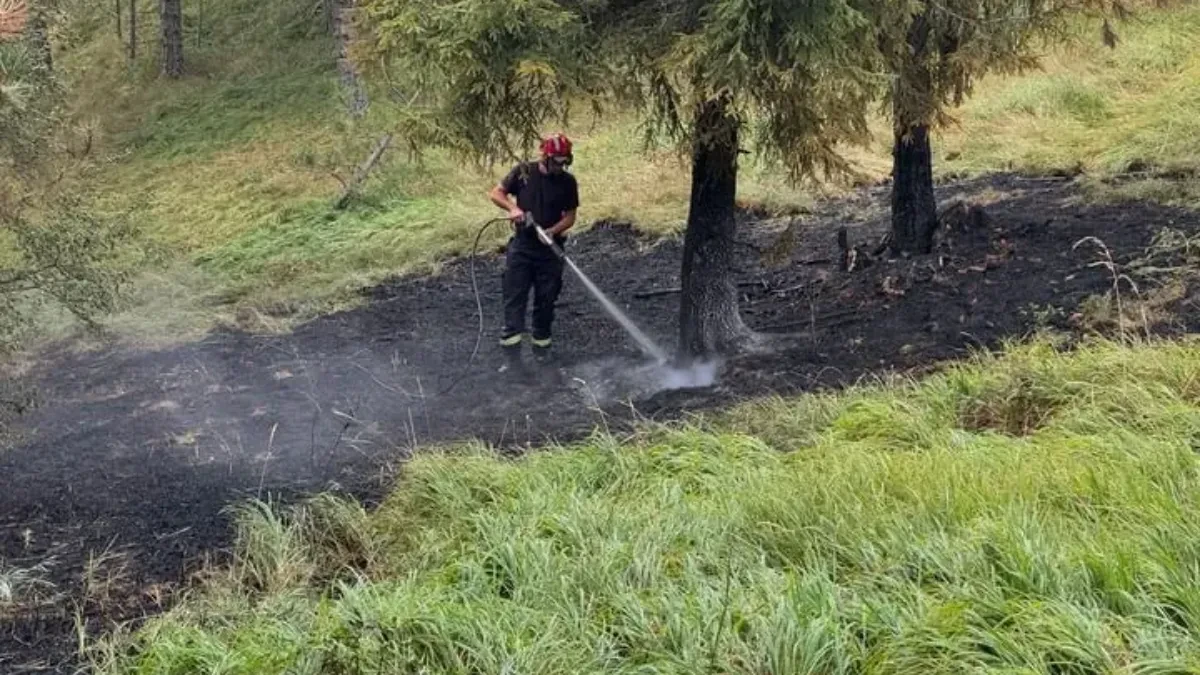 Deka (89) zapalio gnezdo stršljenova, pa izazvao veliki požar: Izgorele kuće, šuma i voćnjaci