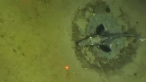 Spustili kameru više od 500 metara ispod Antarktika i ostali zatečeni: "Ovo nismo očekivali" (VIDEO)