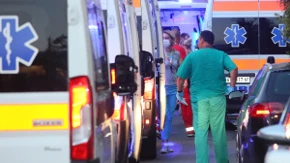 Umalo je preklao, prolaznici sprečili krvoproliće: Detalji napada šarplaninca na devojčicu kod Barajeva 