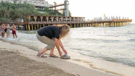 One su među najstarijim stanovnicima planete: Ovako se spasavaju morske kornjače u Centru za rehabilitaciju, turisti oduševljeni 
