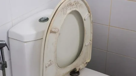 Uklonite žute mrlje sa WC daske: Zaboravite na izbeljivač