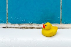 Buđ skinem očas posla! Kuma mi je pokazala trik koji čisti fuge bez ribanja