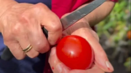 Baka iz Italije otkrila trik za ljuštenje paradajza: Zaboravite vrelu vodu, dovoljan je samo ovaj predmet!