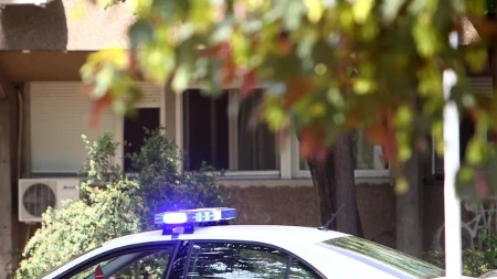 Stočna mafija hara podrinjem: U jednom mestu ukradeno deset jagnjadi, u drugom vlasnik ostao bez 20 ovaca