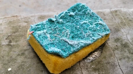 Mnogi ga predugo ne menjaju, a glavni je izvor bakterija: Evo koliko dugo može da se koristi jedan sunđer za pranje sudova