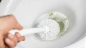 Klasična WC četka je prošlost: Domaćice sve više biraju ovu varijantu za čišćenje