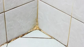 Na buđ zaboravite: Ovaj trik rešava nemilu pojavu i čini da tuš kabina zablista