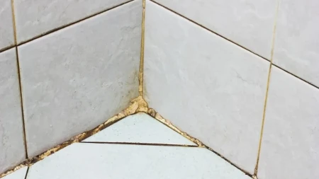 Na buđ zaboravite: Ovaj trik rešava nemilu pojavu i čini da tuš kabina zablista