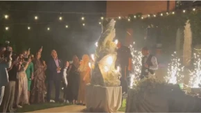 Dea Đurđević i muž sekli tortu uz "Marširala kralja Petra garda": Rusvaj na venčanju voditeljke, vatromet prštao na sve strane (VIDEO)