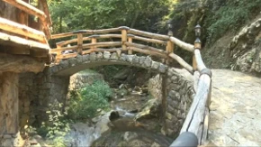 Za Rošku banju kraj Požege stariji kažu da je dar od Boga: Voda izvire u šumi, a ljudi se vraćaju decenijama