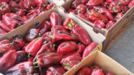Beograđani gledaju i ne veruju: Dok paprika na pijacama ide preko 200 dinara, ovde je 100